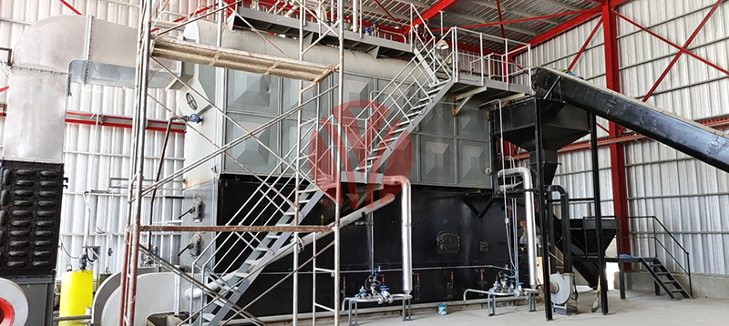 6 ton Rice Husk Fired Steam Boiler Used for the Production of a Pet Food Company in the Philippines